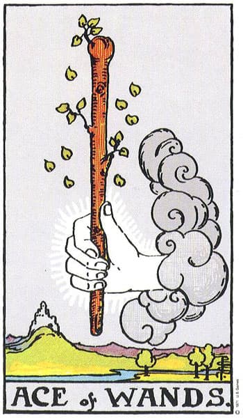 wands-1